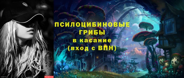 гашик Липки