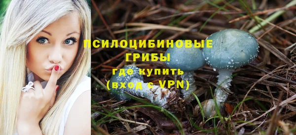 гашик Липки