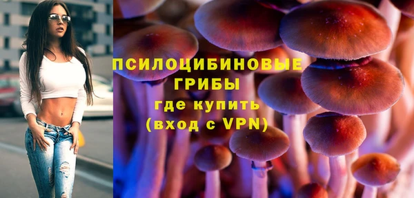 ГАЛЛЮЦИНОГЕННЫЕ ГРИБЫ Лиски