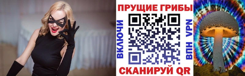 кракен вход продажа наркотиков Ельня Псилоцибиновые грибы MAGIC MUSHROOMS